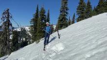 Wet snow and glide avalanches