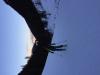 Clear, calm winds, equal surface hoar development.