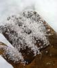 Graupel in Jewel Basin Snowpack Dec. 7th, 2015