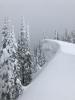 Skook cornice